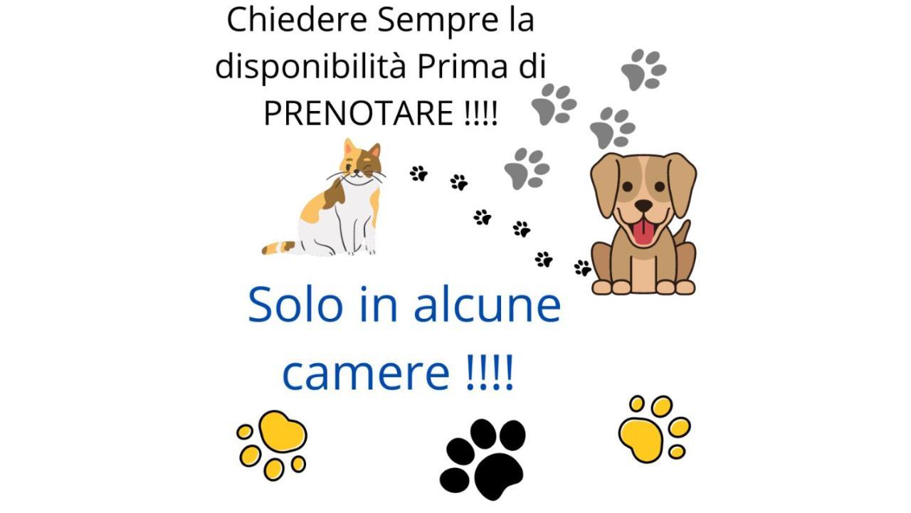 Terra Ciociara Bnb Frosinone Luaran gambar